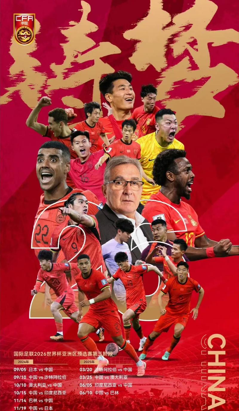 专家指出